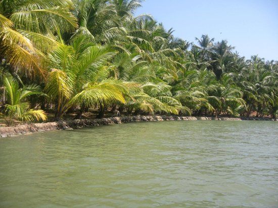 Valiyaparamba Backwaters